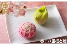 【スイーツ】ずーっと、眺めていたくなりますが、お早目にお召し上がりください。「夢菓子工房ことよ」季節の練り切り菓子 春篇10個