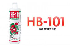 野菜作りや園芸に。プロご用達「HB-101」 500cc 1本
