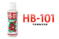 野菜作りや園芸に。プロご用達「HB-101」 100cc 1本