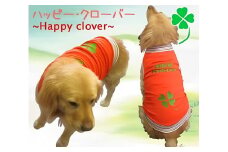 超大型犬用 犬服 【男の子用】