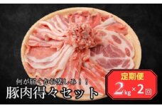 ＜定期便＞何が届くかお楽しみ！！豚肉得々セット　2kg分【２回発送】