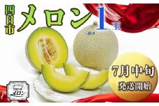 【先行予約】阿部夫妻が愛情をこめたマスクメロン（1個入）【7月中旬発送開始】