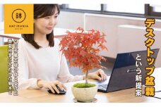 「デスクトップ盆栽」という新提案を四日市から（ミニチュアなし）