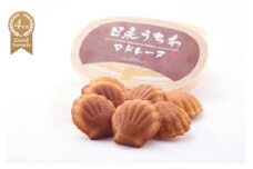 【スイーツ】日永うちわマドレーヌ　7個入【夏季冷蔵便対応】