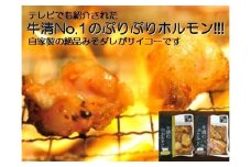 1504　自家製 みそダレ Aセット 　　牛 ホルモン 200ｇ×１ 豚肉×１/ 黒毛和牛ホルモン 牛清 バーベキュー BBQ キャンプ 牛肉 ぶた肉 特製 味噌漬 味付 大人気 伊勢志摩 三重県 伊勢市