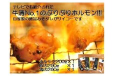 1505　自家製 みそダレ Bセット　　牛ホルモン 200ｇ 豚肉 鶏肉 各１ / 黒毛和牛ホルモン 牛清 バーベキュー BBQ キャンプ 牛肉 ぶた肉 とり肉 特製 味噌漬 味付 伊勢志摩 三重 伊勢