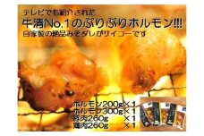 1509　自家製 みそダレ Fセット　　牛ホルモン 200g 300ｇ×各１ 豚肉 ×１ 鶏肉 ×１/ 黒毛和牛ホルモン 牛清 バーベキュー キャンプ 牛肉 ぶた肉 とり肉 特製 味噌漬 味付 伊勢志摩