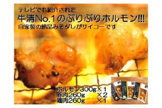 1508　自家製 みそダレ Eセット　　牛 ホルモン 300ｇ×１ 豚肉 ×２ 鶏肉 ×１/ 黒毛和牛ホルモン 牛清 バーベキュー BBQ キャンプ 牛肉 ぶた肉 とり肉 特製 味噌漬 味付 伊勢志摩