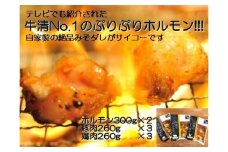 1517　自家製 みそダレ Nセット　　牛 ホルモン 300ｇ×2 豚肉 ×３ 鶏肉 ×３/ 黒毛和牛ホルモン 牛清 バーベキュー BBQ キャンプ 牛肉 ぶた肉 とり肉 特製 味噌漬 味付 伊勢志摩