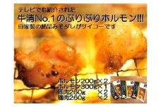 1515　自家製 みそダレ Lセット　　牛ホルモン 200ｇ×２ 300ｇ×１ 豚肉 ×２ 鶏肉 ×２/ 黒毛和牛ホルモン 牛清 バーベキュー BBQ 牛肉 ぶた肉 とり肉 特製 味噌漬 味付 伊勢志摩