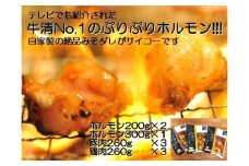 1518　自家製 みそダレ Oセット　　牛ホルモン 200ｇ×２ 300ｇ×１ 豚肉 ×３ 鶏肉 ×３/ 黒毛和牛ホルモン 牛清 バーベキュー BBQ 牛肉 ぶた肉 とり肉 特製 味噌漬 味付 伊勢志摩