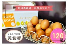 1522 こだわり 自慢のたまご 美食卵 120個 伊勢産 野呂養鶏場 ふるさと納税 玉子 国産 新鮮 濃厚 たまご 卵 生卵 とれたて 卵かけごはん TKG お取り寄せ グルメ 伊勢志摩 三重県 伊勢市