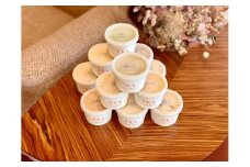 1544　ÉKA GELATO ジェラート12個セット
