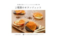 1841 オランジェット詰め合わせ　オランジェット オランジェ五十鈴川 結婚式お菓子 伊勢お菓子 オリジナルお菓子 手作り 地産地消 伊勢 おかげさま 三重県お菓子 詰め合わせ ギフト オレンジ