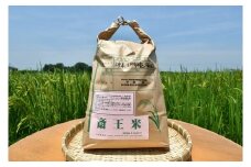1118　三重県産いのちの壱「斎王米」10㎏　コメ お米 10キロ 白米 ご飯 伊勢市産 伊勢志摩 精米発送 粘りが強い 甘味 旨味 お弁当 おにぎり 冷めてもおいしい 米粒が大きい 下村農園