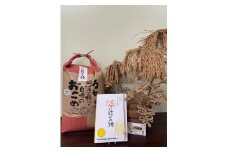 1871 玄米 令和7年産結びの神 玄米１０キロ　数量限定 ご飯 お米 コメ 10キロ  伊勢市 伊勢市産 伊勢志摩 三重県 米粒が大きい つや べたつき少ない もちもち ふっくら 大西農園
