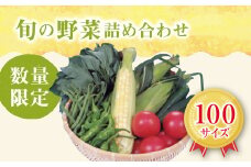 【1-7】旬の野菜詰合せ おまかせセット【限定30/月】