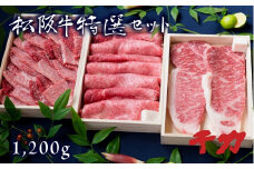 松阪肉 すき焼き用 焼肉用 サーロインステーキ 計1.2kg  ( 牛肉 和牛 国産牛 松阪牛 松坂牛 すき焼き 焼肉 ステーキ 牛肉 松阪牛 ロース 赤身 牛肉 すき焼き用牛肉  三重県 松阪市 ) 【10-7】