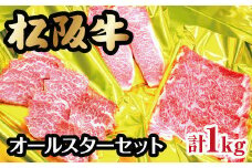 松阪牛オールスターセットB【8-12】