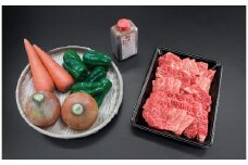 松阪牛（700g）ＢＢＱセット【3-74】