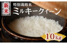 ミルキークイーン （新米予約9月以降発送） 特別栽培米 10kg 精米 (令和７年産 米 コメ ミルキークイーン 新米 精米 特別栽培米 10kg 人気 おすすめ ランキング 三重県 松阪市 ) 【3-196】