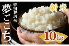 夢ごこち 特別栽培米 10kg 【 新米予約 9月以降発送 】 (令和７年産 米 お米 こめ コメ おこめ 白米 精米 こしひかり コシヒカリ 品種改良 モチモチ 特別栽培米 新米 予約 新米予約 人気 三重県 松阪市 ) 【3-195】