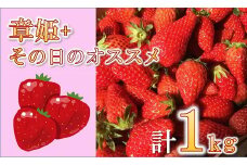 【1-282】松阪のいちご4パック（2品種×2パック）