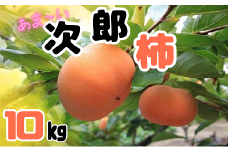 次郎柿（10kg）【限定80箱】【1.3-38】