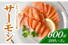 サーモン 刺身 短冊 約600g ( 約200g×3パック ) ( サーモン お刺身 刺し身 おさしみ 生食用 刺身 小分け 200g 3パック 便利 鮭 サケ しゃけ シャケ 魚 魚介類 海鮮 冷凍 急速冷凍 カルパッチョ 三重県 松阪市 ) 【1.5-9】