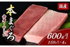 国産本まぐろ 中トロ 赤身 冷凍 短冊 セット 600g以上 〔年末配送可〕 ( まぐろ マグロ 鮪 本まぐろ 刺身 刺し身 お刺身 冷凍 国産まぐろ 本マグロ 中とろ トロ 赤身 人気 おすすめ 2万円 20000円 ) 【2-134】