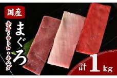 国産マグロ 食べ比べセット 約1kg ( まぐろ マグロ 鮪 本マグロ キハダマグロ 赤身 中トロ 刺身 刺し身 お刺身 小分け 短冊 便利 冷凍 まぐろ刺身 国産まぐろ キハダマグロ 中とろ トロ 人気 おすすめ セット 食べ比べ 三重県 松阪市 ) 【2.5-5】