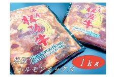 【1-380】松阪牛味付ホルモンミックス500ｇ×2Ｐ
