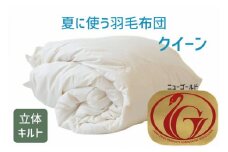 夏に使う羽毛布団 ニューゴールドラベル 薄掛け クイーン 210×210cm　ホワイトダックダウン85％ 日本羽毛製品協同組合 品質推奨ラベル付き 肌掛け 羽毛 掛け布団 立体キルト【251-000256-20】【4.8-1】