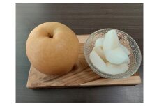 森の梨（豊水　3kg）8 月下旬から9 月中旬【数量限定】【1.1-13】