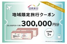 【100-3】三重県松阪市　日本旅行　地域限定旅行クーポン300,000円分