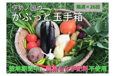 伊勢ノ国のがぶっと野菜玉手箱　：　隔週1回定期便（大人4人1週間分）26回【26-2】