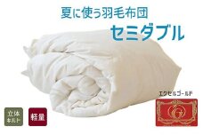 【4.6-3】夏に使う羽毛布団 エクセルゴールドラベル 薄掛け セミダブル 170×210cmイングランドダウン90％ 日本羽毛製品共同組合品質推奨ラベル付き 肌掛け 羽毛 掛け布団 立体キルト【251-000262-20】