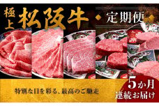 極上松阪牛 堪能コース【定期便5ヵ月】（ヒレ・シャトーブリアン・サーロイン・赤身・霜降り・すき焼き・しゃぶしゃぶ・ハンバーグ）【30-23】