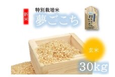 （新米）夢ごこち（特別栽培米）玄米 30㎏【002116】