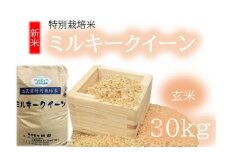 （新米）ミルキークイーン（特別栽培米）玄米 30㎏【002117】