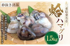 丸元水産 桑名産蛤 （ハマグリ） 1.5kg はまぐり 魚介 貝 魚貝 活はまぐり 焼きはま 海鮮 網焼き 酒蒸し お吸い物 パエリア パスタ 023-0003