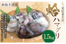【指定日必須】 丸元水産 桑名産蛤 （ハマグリ） 1.5kg はまぐり 魚介 貝 魚貝 活はまぐり 焼きはま 海鮮 網焼き 酒蒸し お吸い物 パエリア パスタ 【2025年9月下旬から2026年6月下旬発送予定】 023-0003x1