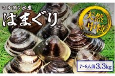 マルヨシ水産　桑名産中粒天然蛤　3.3kg_はまぐり　ハマグリ　魚介　貝　魚貝　活はまぐり　焼きはま　海鮮　網焼き　酒蒸し　お吸い物　パエリア　パスタ　d_25