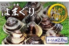 マルヨシ水産　桑名産中粒天然蛤　2kg_はまぐり　ハマグリ　魚介　貝　魚貝　活はまぐり　焼きはま　海鮮　網焼き　酒蒸し　お吸い物　パエリア　パスタ　c_75