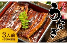 王鉄興業　木曽三川うなぎ３人前＋きざみ蒲焼　鰻　ウナギ　蒲焼　かば焼　たれ　タレ　土用の丑　ひつまぶし　うな重　aa03