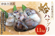丸元水産 桑名産蛤 （ハマグリ） 1.1kg はまぐり 魚介 貝 魚貝 活はまぐり 焼きはま 海鮮 網焼き 酒蒸し お吸い物 パエリア パスタ 023-0002