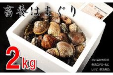 桑名はまぐり屋　蓄養はまぐり　3年～6年もの　2kg_蛤　ハマグリ　魚介　貝　魚貝　活はまぐり　焼きはま　海鮮　網焼き　酒蒸し　お吸い物　パエリア　パスタ　md01