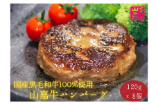 武藤牧場直売店 山嘉　黒毛和牛100％ハンバーグ8個（約960g）　牛肉　肉　牛　国産　冷凍　小分け　大容量　ハンバーガー　個包装　お惣菜　簡単調理　お手軽　弁当　おかず　a#45