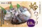 桑名産蛤（ハマグリ） 4.0kg
