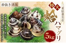 【特大】 桑名産蛤（ハマグリ） 5.0kg はまぐり 蛤 天然蛤 砂出し済 023-0034